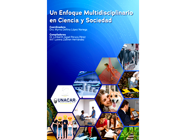 Un Enfoque Multidisciplinario